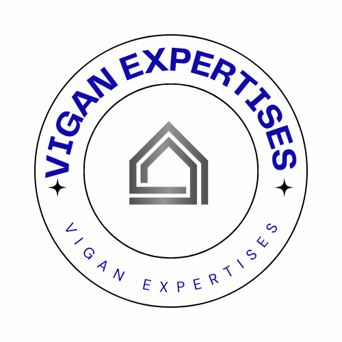 VIGAN EXPERTISES - Thumbnail