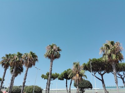 Photos of Naples International Airport