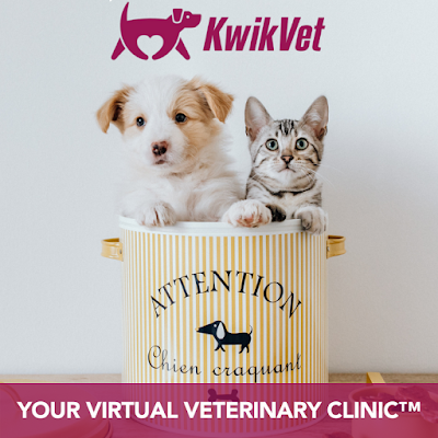 KwikVet - 24 hour veterinarians