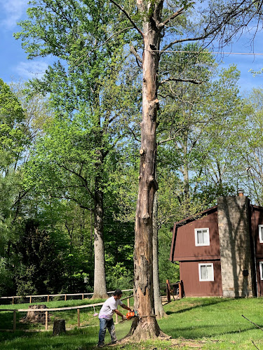Nicholas Boswell Tree Care LLC