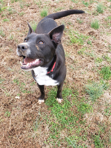 Wayne County Humane Society - Thumbnail