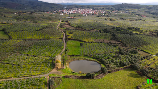 Laguna de Las Navas - Thumbnail