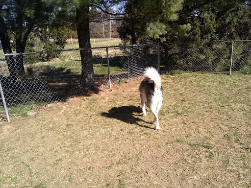 Heritage Forest Dog Park - Thumbnail