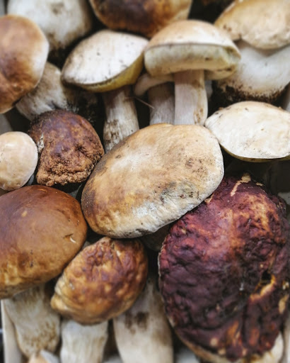 Verduras Llarena - Thumbnail
