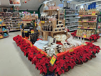 RAGT Jardin et Maison à Puylaurens