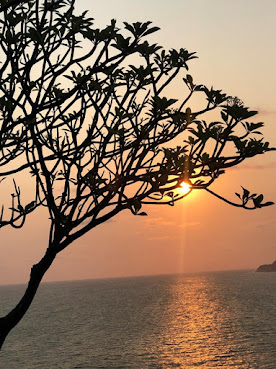 Banyan Tree Cabo Marqués by null