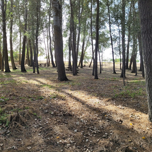 Ribera del río Valtodano - Thumbnail