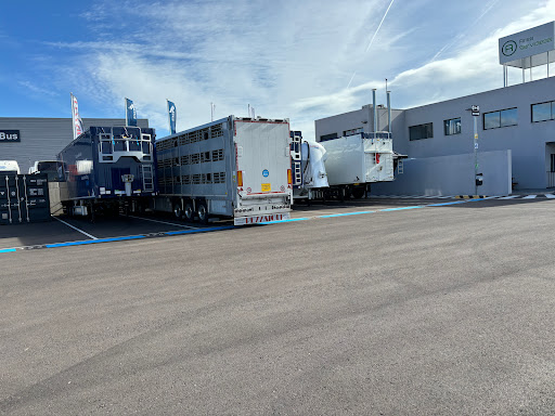 CDT Trailers - Visual