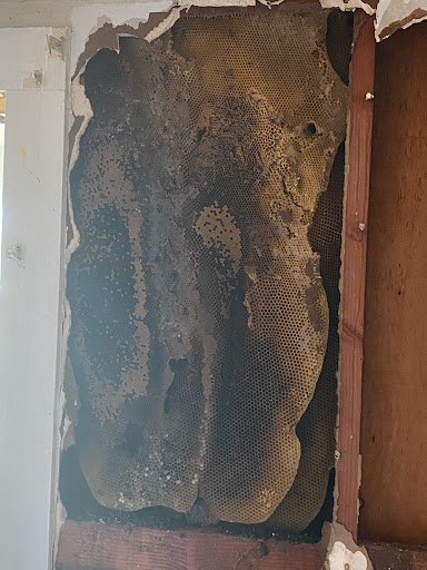 Integrity Lawn and Pest Control LLC - Thumbnail