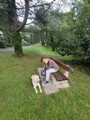 Le banc d'Hardelot - Thumbnail