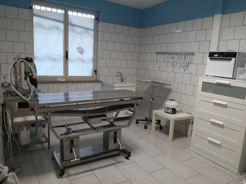 Ambulatorio Veterinario Carolei