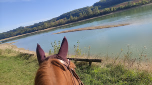 Photo n°9 de La Ballarade à Lacépède (Centre équestre)