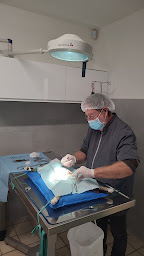 Photo n°1 de Clinique Vétérinaire Mont-Vet à Montmoreau (Vétérinaire)