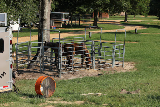 Brushy Creek Ranch - Thumbnail