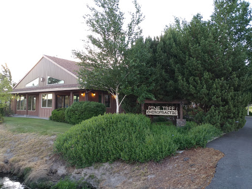 Pine Tree Chiropractic - Visual