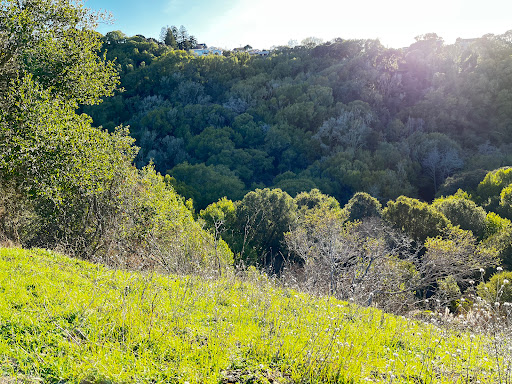 Wildcat Canyon Regional Park - Thumbnail