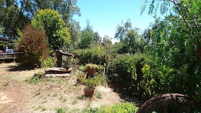 Photos of La Arbequina