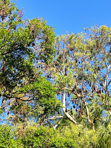 Grundy Gardens - Thumbnail