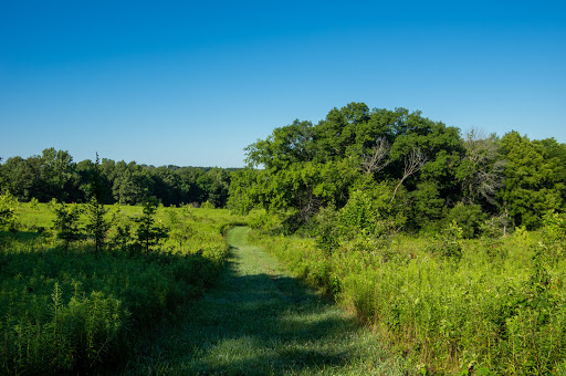 ParkLands Kenyon-Baller Woods Preserve