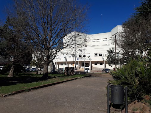 Hospital Zonal General de Agudos “Blas Dubarry”, Author: Lucia Teruggi