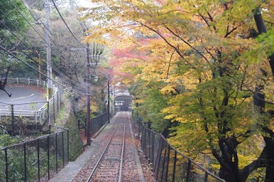 Photos of 山麓
