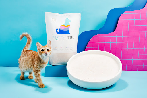 Pretty Litter - Thumbnail