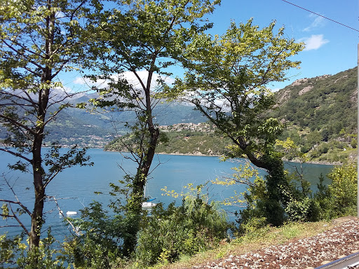Dorio - Visual