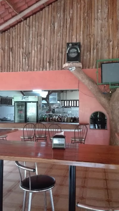 Photos of Hotel del Bosque