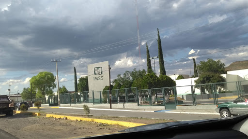 IMSS HGP Logo