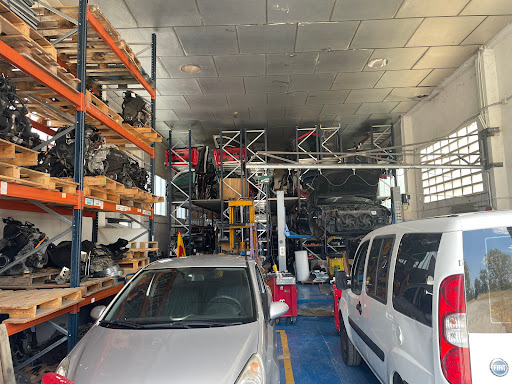 MCS AUTOMOTIVE S.L.U Salamanca Cantagallo