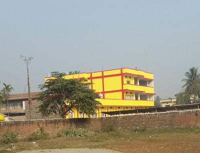 Photos of Lilliput Montessori Children House