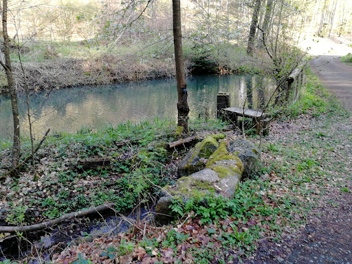 Herrnwald - Visual