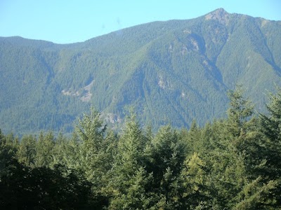 Christmas Creek Tree Farm