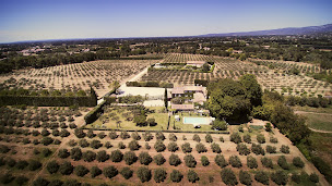 Photo n°18 de Domaine de Canfier à Robion (Coopérative de production d'huile d'olive)