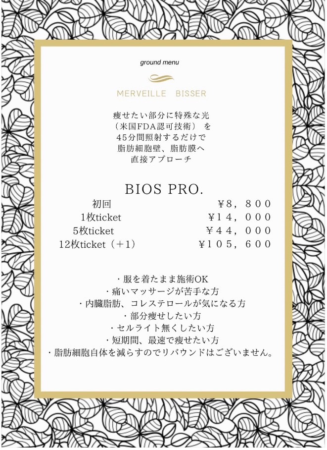 メルヴェイユ ビゼ