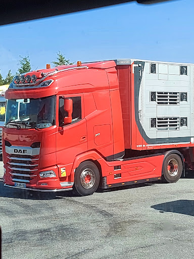 Ciron DAF Alencon Gallery - France