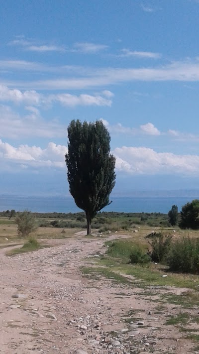 Photos of Орто-Өрүктү