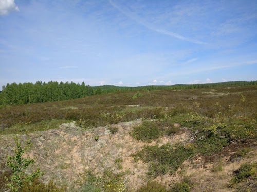 Jussi loodusrada