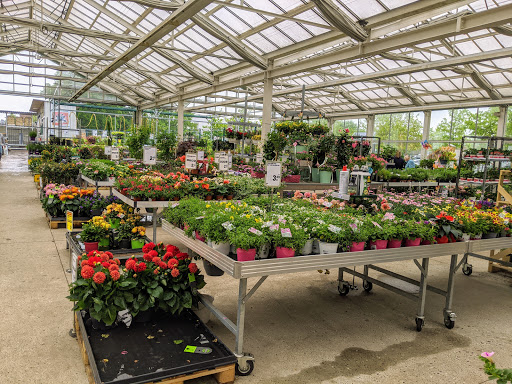 toom Baumarkt Aurich - Thumbnail