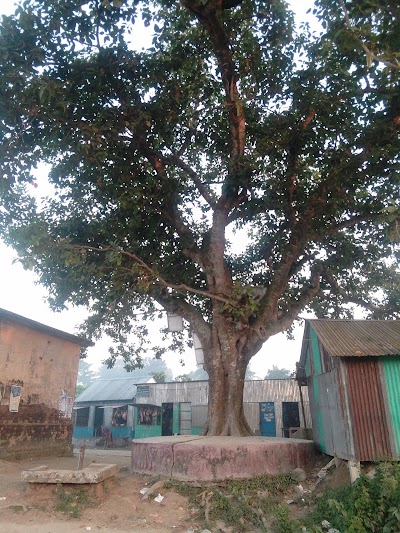 Photos of Bogdohor Notun Bazar