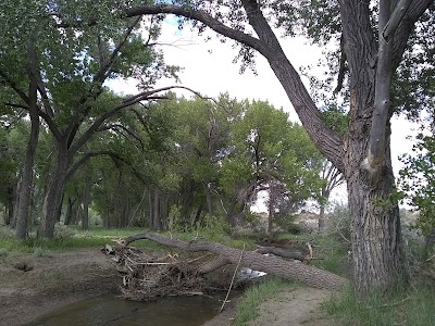 Ambrose Carson River Natural Area