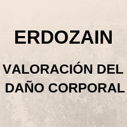 Erdozain Valoracion Del Daño Corporal - Thumbnail