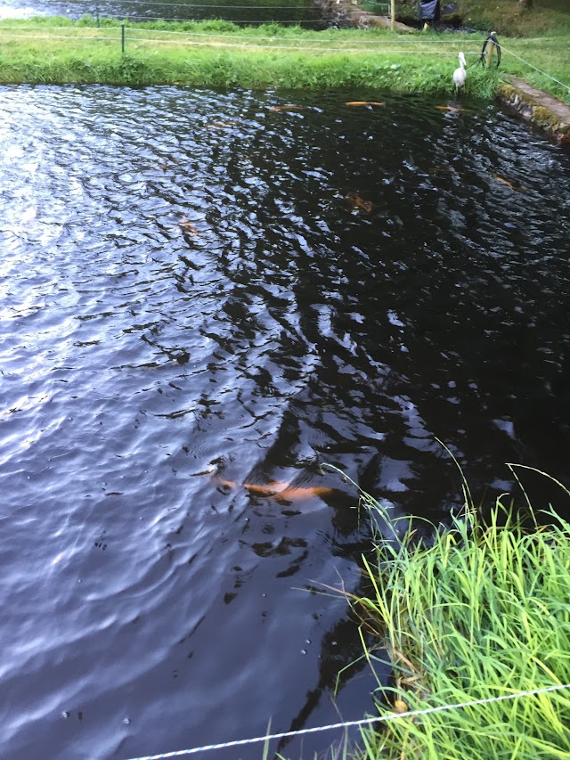 Ferme Piscicole Moulin Petite Verriere