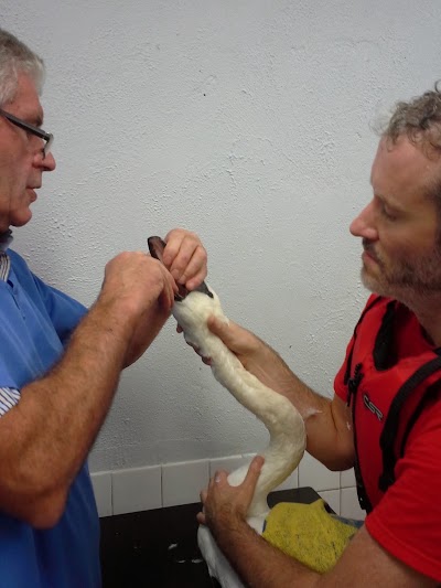 Photos of Athlone Veterinary Clinic