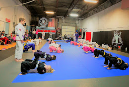 Hart Jiu Jitsu, Kickboxing and Mixed Martial Arts Academy gym photo