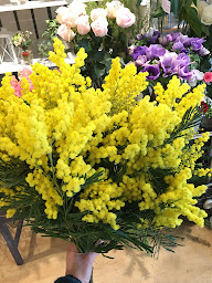 Photo n°6 de Pensée de fleurs | Fleuriste Paris à Paris (Service de plantes d'intérieur)