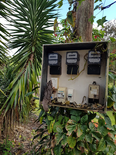 ADK Electrical - Visual