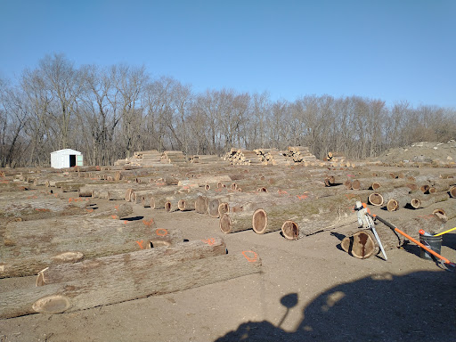 Poignant Logging