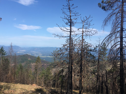 Mine Trail Campfire Lookout