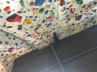 Photos of T Wall Climbing Gym